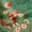 FloralGreen, variant on SUNBS Womens 3 Packs Long Sleeve Shirts Loose Fit Fall Tops Fashion Clothes Basic Workout Tees School Teacher Outfits