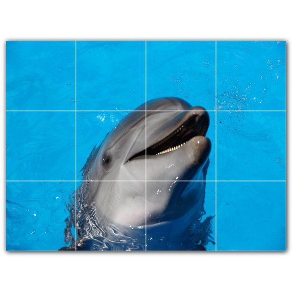 Picture-Tiles.com: Dolphin Ceramic Tile Wall Mural WAL500497-43XL. 48"W x 36"H using (12) 12" x 12" Ceramic Tiles-Satin Finish