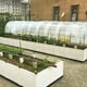 thumbnail image 4 of Matsuzay Película de PE para invernadero, sin olor, antipolvo, transparente, fácil de plegar, anticongelante para plantas Jardín y Patio 2 m x 6 m, 4 of 6