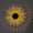 D, variant on Solar Outdoor Wall Lights, Decorative Metal Hollow Sunflower Sconce, Waterproof LED Exterior Garden Decor for Patio, Fence, and Yard