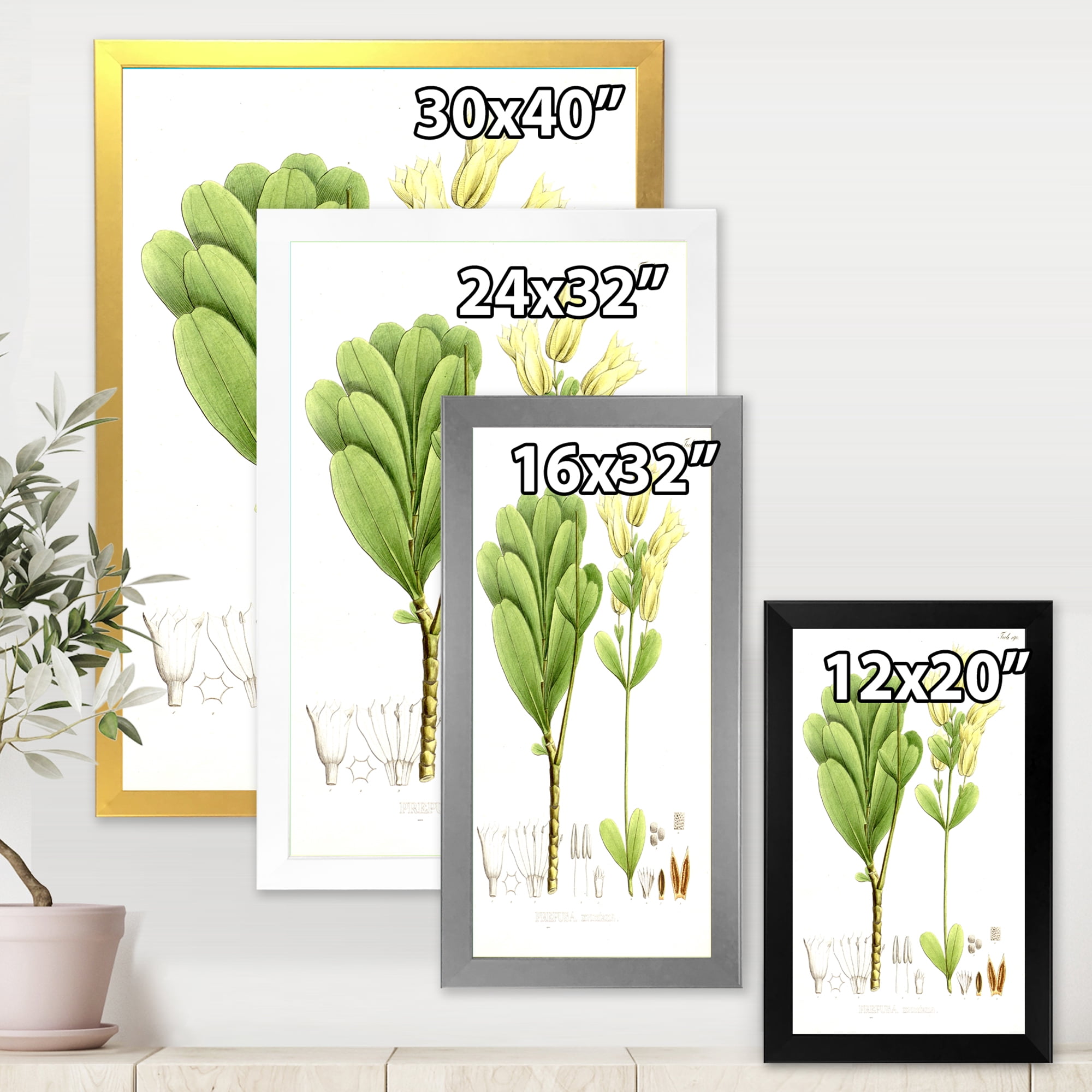 Designart 'Ancient Brazilian Plant III' Traditional Framed Art Print