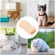 thumbnail image 4 of Almohada de Animal Suave, Juguete de Peluche para Mascotas, Compañero de Abrazos para Gatitos con Tela Suave para Jugar, Morder y Consolar, 4 of 6