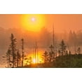 thumbnail image 2 of Jaynes Gallery 32x23 White Modern Wood Framed Museum Art Print Titled - Canada-Ontario-Torrance Barrens Dark-Sky Preserve Foggy sunrise on forest, 2 of 4