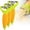 B, variant on Gallickan Corn Planer Kitchen Gadget Non-Slip Handle Corn Planer Peeler, Improved Maize Stripper, 304 Stainless Steel, 2-Pack