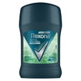thumbnail image 1 of Antitranspirante Rexona forest en barra para caballero 45 g, 1 of 3