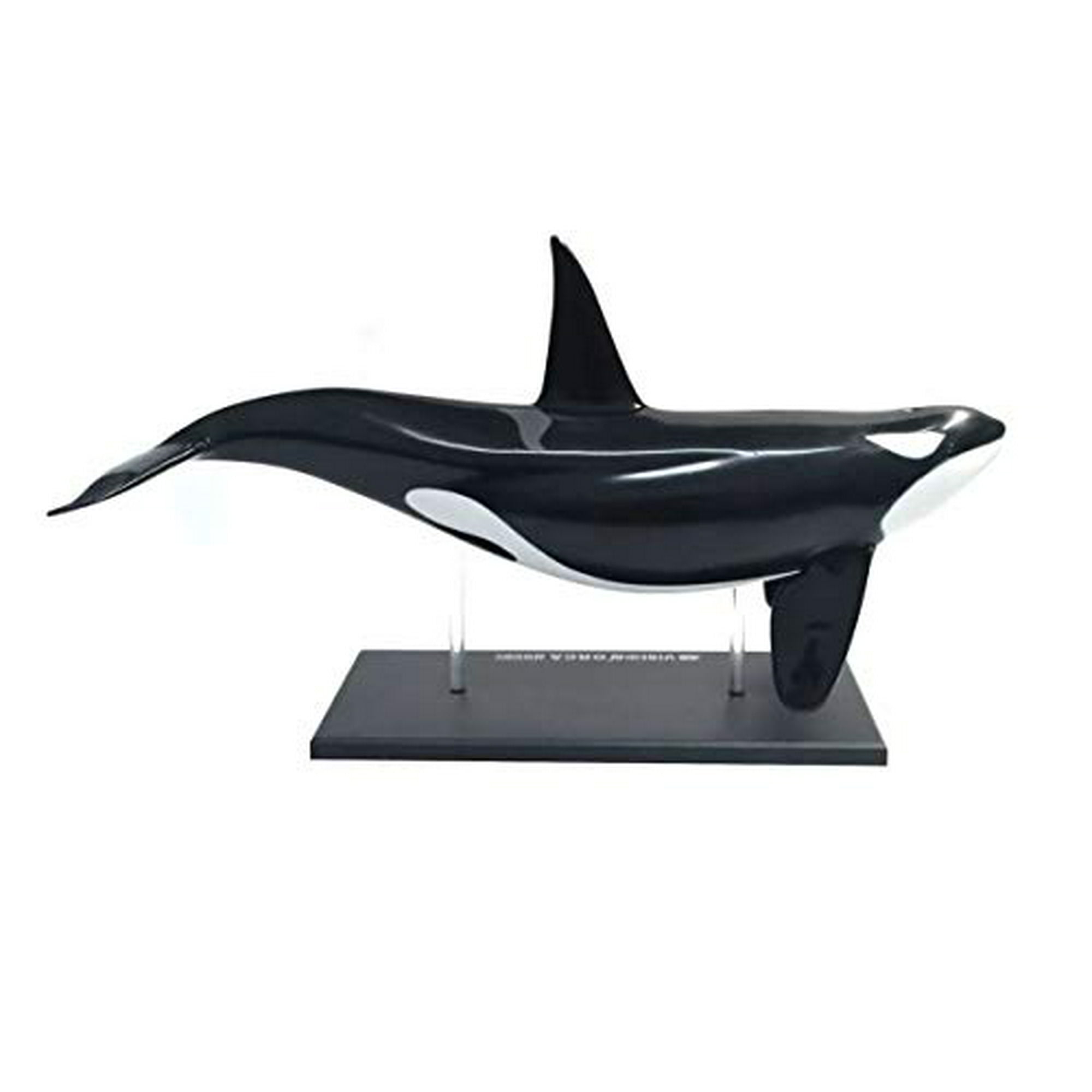 TEDCO 4D Orca Kids Educational Science Activity Kit - Walmart.ca