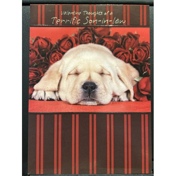Happy Valentine's Day Son-In-Law Greeting Card w/Envelope