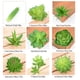 thumbnail image 5 of 10 piezas de suculentas falsas Advancent PVC Flores artificiales tipo 14, 5 of 6