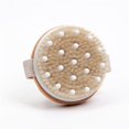 thumbnail image 2 of Dry Body Brush Set - Great for Cellulite, Lymphatic Drainage & Skin Exfoliator - Natural Bristle Spa Kit - Long Handle Back Brush, 2 of 5