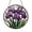 Acrylic 3.5 Inch, variant on Garden Iris Window Art – Faux Stained Glass