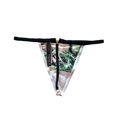 thumbnail image 2 of Victoria's Secret V-Hardware V-String Panty Light Pink Floral, Large NWT, 2 of 2