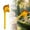 B, variant on Inflatable Gunhorse Inflatable Gunhorse /Halloween/Western Cowboy/Horse Baby Bathing Birthday Party Decorations Supplies Props Baby Bath Dolls Middle School Pianola Animal Games Dolls for 2 Years Old