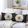 thumbnail image 2 of Black Spring Daisy Lumbar Pillow Covers 12x20 Set of 2 Cute Floral Summer Outdoor Decorative Throw Pillows Farmhouse Flower Pillowcases Linen Rectangle Cushion Case Decor for Home Sofa Couch Bed, 2 of 6