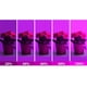 thumbnail image 3 of Lámpara LED de espectro completo con clip para el crecimiento de plantas, ideal para el cultivo de suculentas verdes, 100-240 V (45 W), 3 of 5