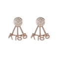 thumbnail image 1 of Fiudx Pendientes de Diamantes, Exquisita Joyería de Moda, Elegantes Pendientes de Aleación, Diseño Único, Regalo para Seres Queridos, Accesorios para Dama, Estilo Hermoso y Atractivo., 1 of 2