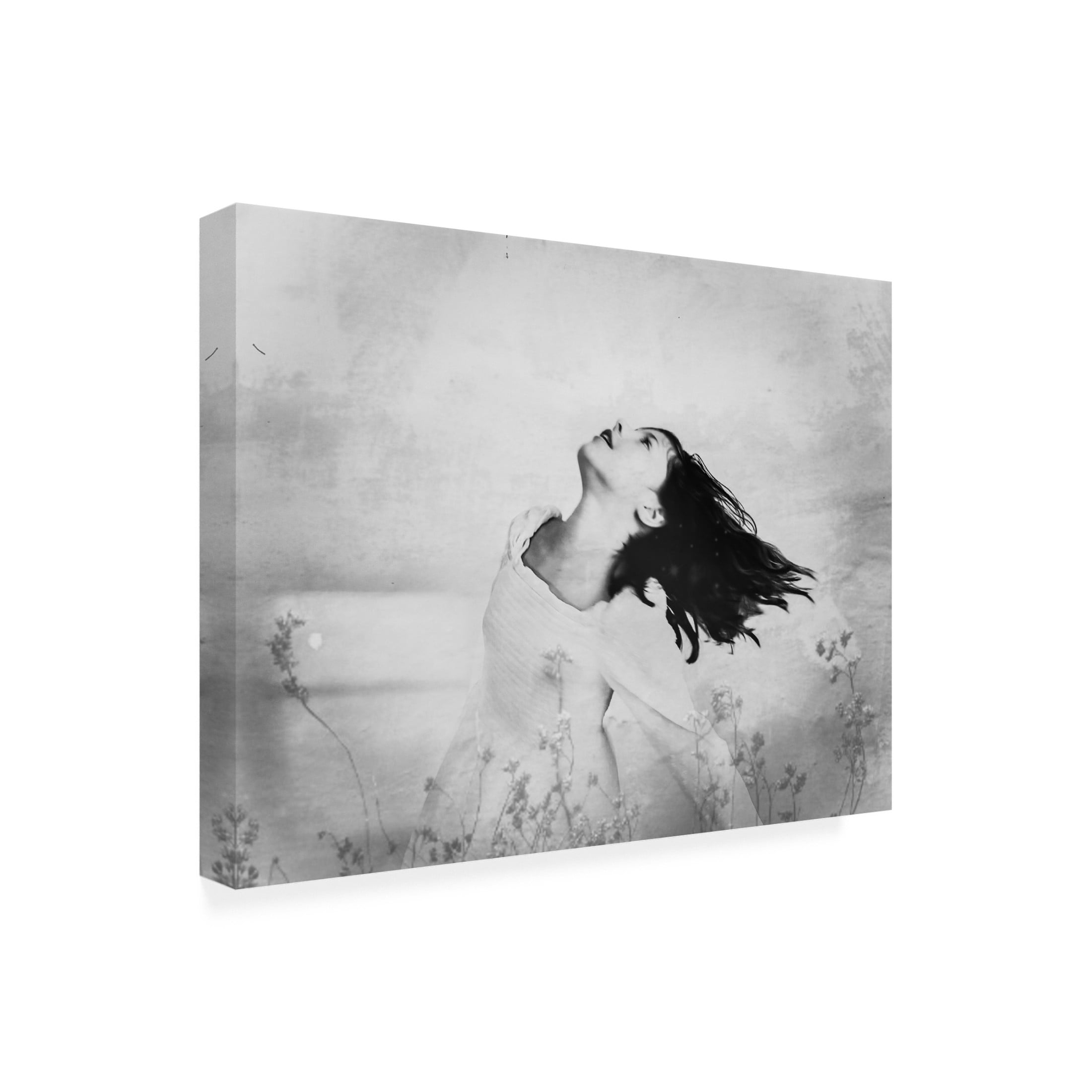 Trademark Fine Art Delphine Margau The Soaring Beautiful Canvas Wall Art