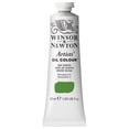 thumbnail image 1 of WINSOR & NEWTON / COLART 1214599 ARTISTS OIL SAP GREEN 37ML, 1 of 5
