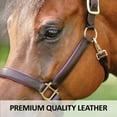 thumbnail image 3 of Schneiders Double Stitch Contrast Color Padded Leather Horses Halter | Brown Royal | Oversize, 3 of 7