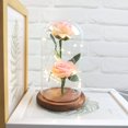 thumbnail image 2 of POINTERTECK Romantique Immortel Fleur Micro Paysage Rose Simulation Verre Ombre Led Llight, 2 of 3