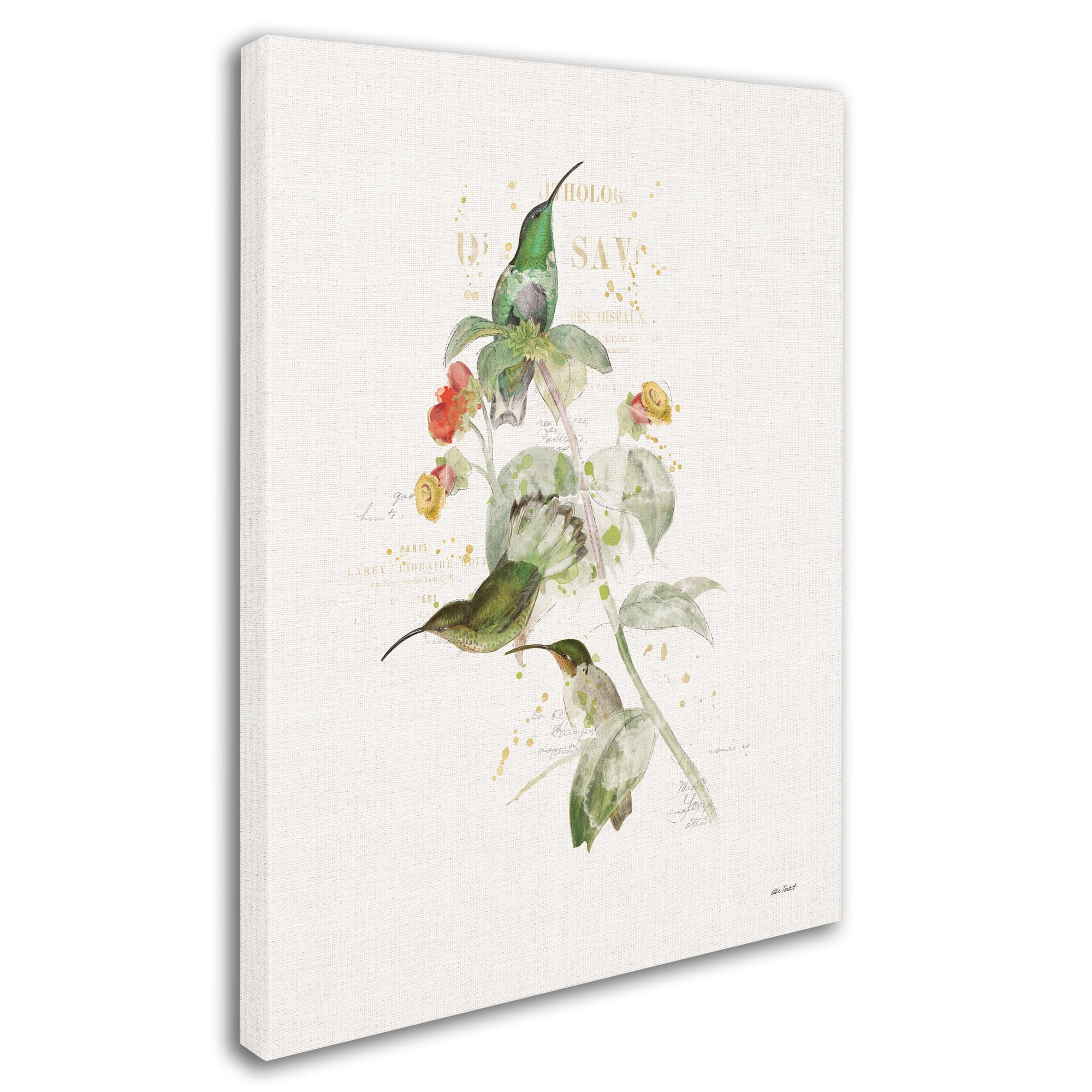 Trademark Fine Art 'Colorful Hummingbirds III' Canvas Art by Katie Pertiet