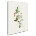 thumbnail image 2 of Trademark Fine Art 'Colorful Hummingbirds III' Canvas Art by Katie Pertiet, 2 of 3