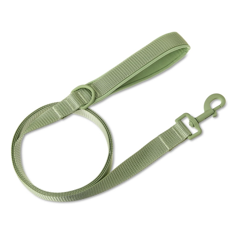 Neoprene Cushioned Dog Leash, Sage Green, 6 ft photo 1
