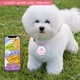 thumbnail image 4 of Rastreador GPS portátil para perros Rose-Mini, localizador de mascotas, compatible con Bluetooth, antipérdida, para perros y gatos, 4 of 5