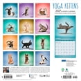thumbnail image 2 of Yoga Kittens OFFICIAL | 2027 12x24" (Hanging) Wall Calendar | Plato, 2 of 9