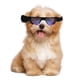 thumbnail image 3 of EeaseMX Gafas de sol decorativas para perros pequeños, protección UV, gafas para mascotas, 3 of 7