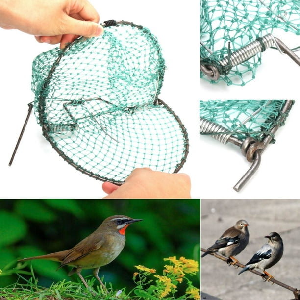 Stylebest Oiseau, Pigeon, Caille Piège à Oiseaux de Chasse sans cruauté  avec Instructions d'installation du piège : : Jardin