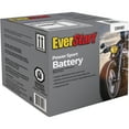 EverStart Lead Acid PowerSport Battery, Group Size 12N94B1 12 Volt, 85