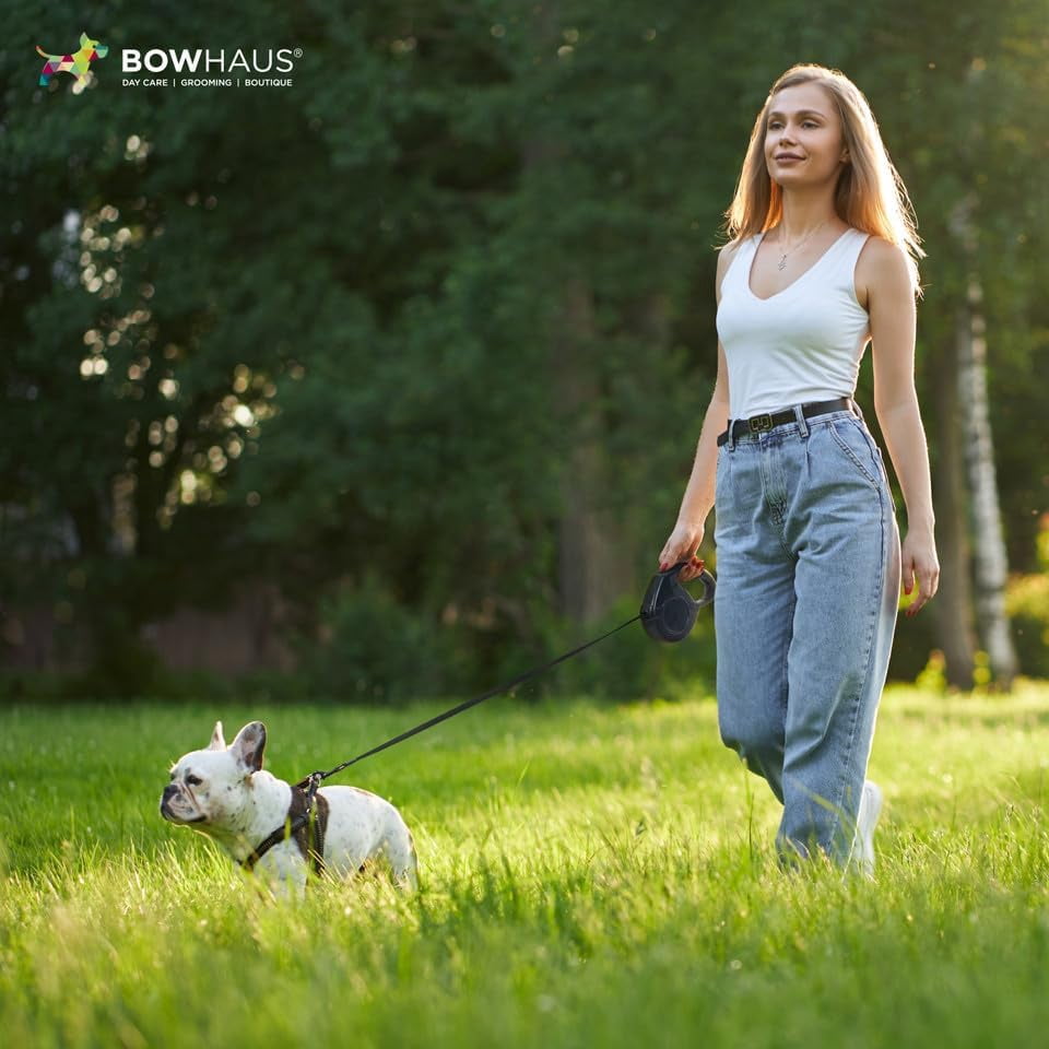 BOWHAUS Heavy Duty Retractable Dog Leash with One-Handed Brake, Pause, Lock, No Noise Pet Walking Leash for Tangle-Free Dog Walking, Not Easy to Jam, with Non-Slip Handle