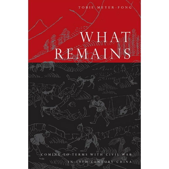What Remains: Coming to Terms with Civil War in 19th Century China, (Hardcover)