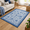 Blue Floral-2' x 3' (Rectangular), variant on Black Mushrooms Entryway Rugs 2x3 Indoor Small Area Rug Low Pile Front Door Mat Washable Throw For Kitchen Bedroom Bathroom Holida
