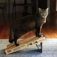thumbnail image 4 of KONG® Naturals Pop-up Incline Cat Scratcher, 4 of 8
