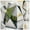 Ivory/Green, variant on SAFAVIEH Porcello Karenza Geometric Area Rug, Ivory/Green, 8' x 10'