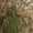 Realtree APX, variant on Realtree Men's Insulated Hunting Boot, Realtree APX, Size 11