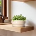 thumbnail image 5 of Ordivic 8 inch Beige Modern Ceramic Flower Pots with Drainage Hole & Saucer Indoor Shallow Planter for Cactus & Office Desk, 5 of 8