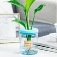 thumbnail image 4 of TERGAYEE Transparent Hydroponic Small Potted Plant Pots, Indoor Living Room Desktop Transparent Hydroponic Plastic Flower Pots, A Must for Green Plant Lovers, Transpare Vase Home Decor, 4 of 9