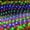 Multicolor, variant on Morttic Christmas LED Net Lights 9.8ft x 6.6ft 200 LED Waterproof Mesh String Lights, 200 LED 8 Modes Plug in Waterproof Decor Lights for Garden Tree Party Xmas, Warm White