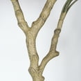 thumbnail image 4 of 6FT Realistic Artificial Bougainvillea Tree - Potted Flowering Fake Plant 1pc Set for Indoor Home Decor, 4 of 9