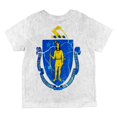 thumbnail image 2 of Massachusetts Vintage Distressed State Flag All Over Toddler T Shirt Multi 2T, 2 of 2