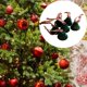 thumbnail image 1 of 6 adornos de campana de Navidad para decoración del hogar con cinta, adornos colgantes para de Navidad, colgantes para inauguración de la casa, Verde, 1 of 10