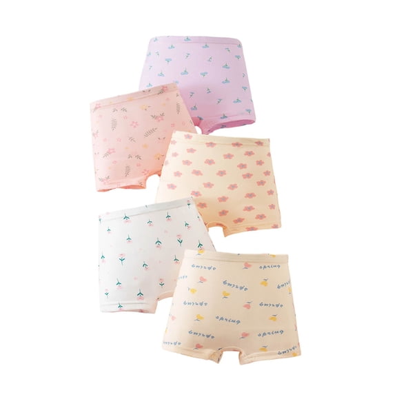 FUZHIQ Girls Underwear 5 Pack Boxer Briefs Floral Pattern Soft Stretchy Waistband Comfortable Underpants for Toddler Little Kids,9-10 Years