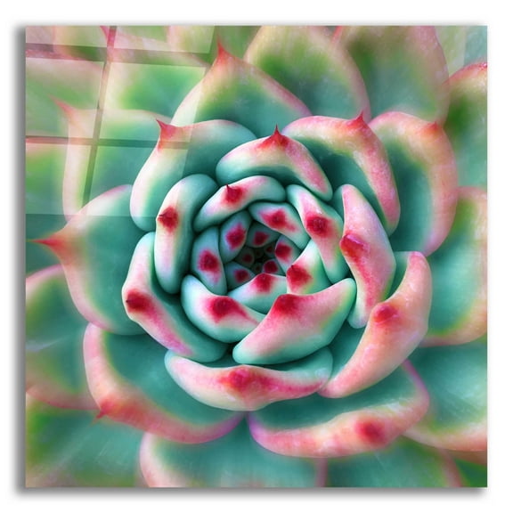 Epic Art 'Deep Red Tips' by Jan Bell Acrylic Glass Wall Art, 12"x12"