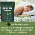 thumbnail image 4 of Mullein Gummies 1000 mg – Cuidado respiratorio natural, textura suave sabor a pera, 60 gomitas para uso diario, 4 of 5