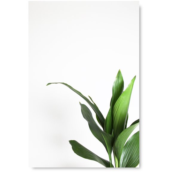 Awkward Styles Green Unframed Poster Green Plants Poster Wall Decor Inspirational Poster Prints for Office Foliage Decor Green Grass Inspirational Vinyl Art Beautiful Nature Art Home Decor Ideas