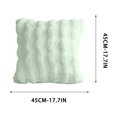 thumbnail image 3 of Btomtd Wavy Plush Throw Pillow Cover 18 x 18 Inch, Soft Decorative Couch Pillow Covers, Hidden Zipper Pillow Cases for Sofa Bedroom, Mint Green, 3 of 7