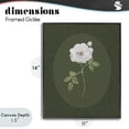 thumbnail image 4 of Stupell Industries Transitional Emerald & White Oval Rose Black Framed Giclee Art, 11 x 14, by Sally Swatland, 4 of 8