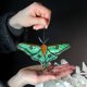thumbnail image 3 of Colgante de cristal de las mariposas para el coche Sun Catchers ventana interior para las mujeres, 3 of 7